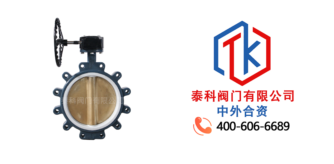 蝸輪對夾支耳蝶閥拼圖