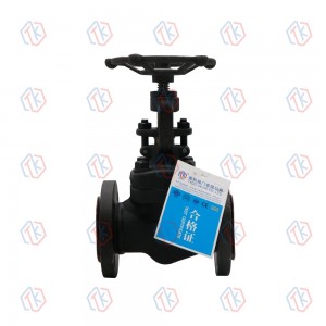 鍛鋼法蘭截止閥