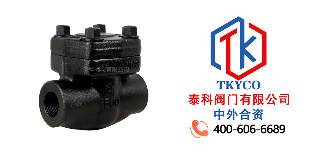 對夾式鍛鋼止回閥拼圖